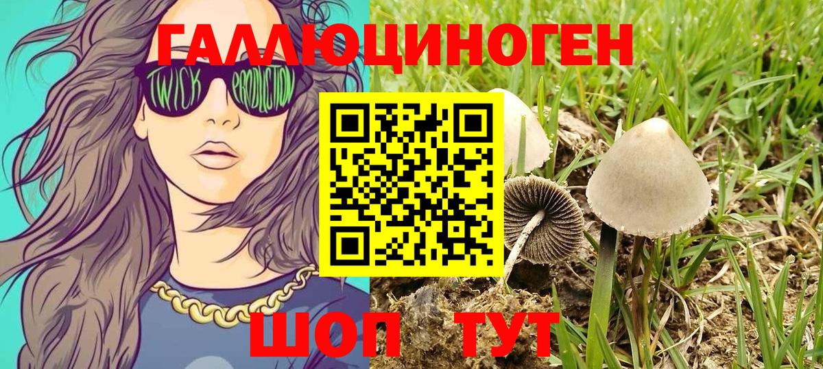 Куйбышев  где найти   Вход с VPN  Галлюциногенные грибы мухоморы 